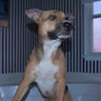 Profile Picture of Kate Heffernan (@kate-heffernan-24) on Quora