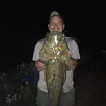 Profile Picture of steve wangler (@wanglers1) on Instagram