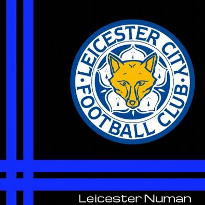 Profile Picture of Steve_FoxInSocks (@Leicester_Numan) on Twitter