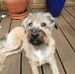 Profile Picture of Richard Foskett (@richard.foskett.92) on Facebook