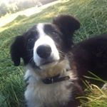 Profile Picture of David Barban (@david_barban) on Instagram