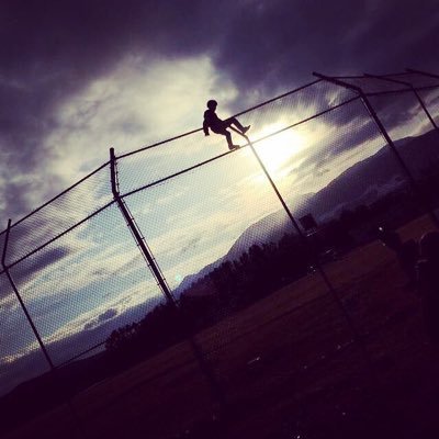 Profile Picture of Damian Knox (@DamianKnox11) on Twitter