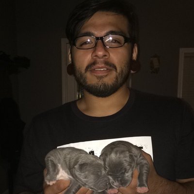 Profile Picture of Luis Guel (@xLUDOGx) on Twitter