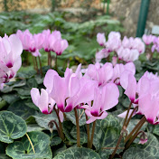 Profile Picture of Talia Inbar (@taliainbar6987) on Youtube