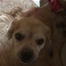 Profile Picture of Eunice Fuller (@eunice.fuller.946) on Facebook