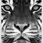 Eternity Designer Rugs - Instagram Profile Picture of Eternity Designer Rugs (@sean_garber) on Instagram