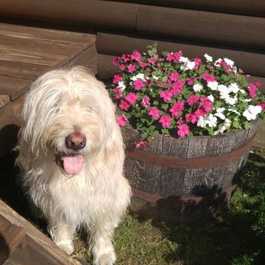 Profile Picture of Gayle Hammers (@JoyRN61) on Twitter