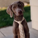 Profile Picture of Julie Fifer (@sartek7) on Instagram