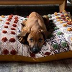 Profile Picture of alexarvanitis (@alexarvanitis) on Instagram