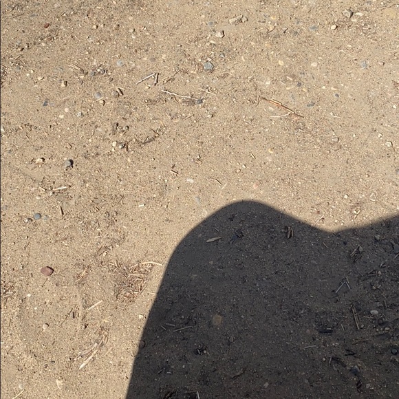 Profile Picture of Richard Gullion (@cytogenix) on Poshmark