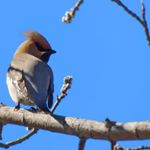 Profile Picture of cassandra horn (@cassandrahorn34) on Instagram