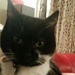 Profile Picture of Geoff Langridge (@samqprdiggins) on Instagram