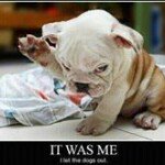 Profile Picture of Martin Homer IV (@martinhomer) on Instagram