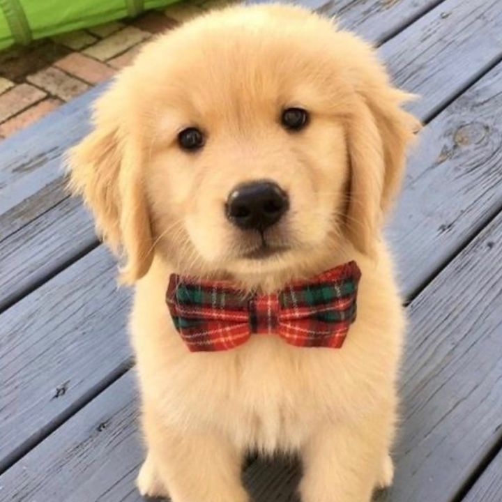 Hitz - Tiktok Profile Picture of Hitz (@xyzl8417v9z) on Tiktok