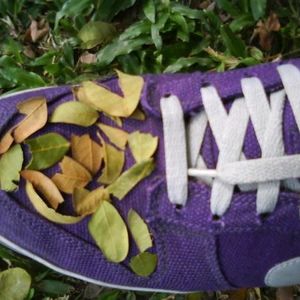 Profile Picture of Kia Terry (@jasonty) on Myspace