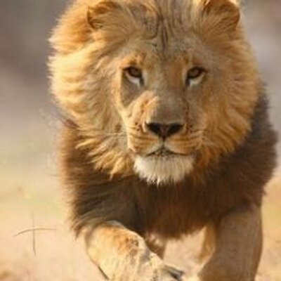 Alan Barrios - Twitter Profile Picture of Alan Barrios (@alanbarrios10) on Twitter