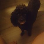 Profile Picture of James Jessop (@jamesjessop32) on Instagram