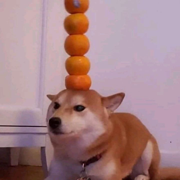 Profile Picture of defnotchad (@bradnotachad) on Tiktok