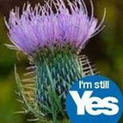 Profile Picture of Sharon Bourne (@maidenscotland2) on Twitter