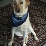 Profile Picture of Kim Hanko (@hankokim) on Instagram