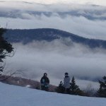 Profile Picture of Jimmy Weidenborner (@jimmy27shorty) on Instagram