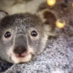 Profile Picture of Paula Mooney (@paulamooney2003) on Instagram
