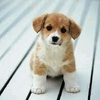 Profile Picture of Leanne roberts (@@cute.pics.11.7) on Tiktok