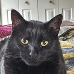 Profile Picture of Amy Nutter (@amy.nutter.2025) on Facebook