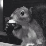 Profile Picture of Rick Courtemanche (@rpshortsleeve) on Instagram