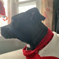 Kim Cordwell - Quora Profile Picture of Kim Cordwell (@kim-cordwell) on Quora