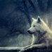 Profile Picture of Kevin Truman (@kevin.truman.56) on Facebook