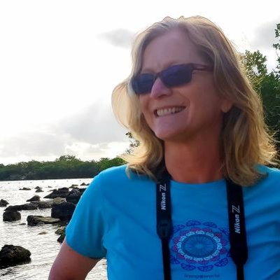 Profile Photo of Carol J. Clouse (@caroljclouse) on Twitter