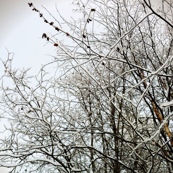 Profile Picture of Raiana Vandenbroek (@rvandenbroek) on Poshmark