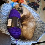 Profile Picture of Candi Foster Barnes (@candi.foster.16) on Facebook