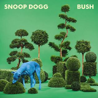 Profile Picture of Bush (album) - Wikipediaon Wikipedia