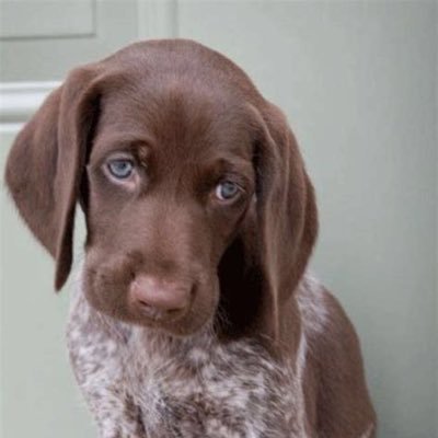 Profile Picture of Farmer Ted (@Farmer_Jeff63) on Twitter