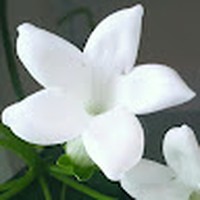 Profile Picture of Dustin Donner (@dustin-donner-3) on Quora