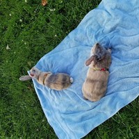 Profile Picture of Maddie Hailey (@maddie-hailey-1) on Quora