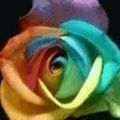 Profile Picture of Brent Stubbs (@blacks31) on Twitter
