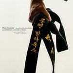 Profile Picture of Rubén Palafox (@palafoxtkd) on Instagram