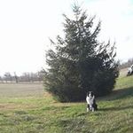 Profile Picture of Joe Chaney (@joe.chaney.714) on Instagram