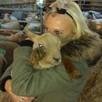 Profile Picture of Judy Gould (@judemeister14) on Instagram