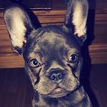 Olivia Naylor - Instagram Profile Picture of Olivia Naylor (@olivia.naylor.35) on Instagram