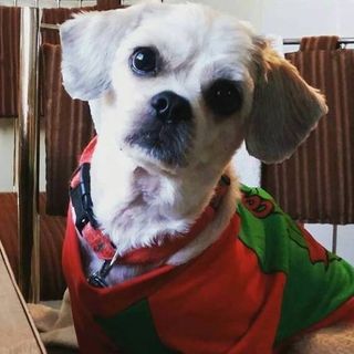 Profile Picture of Austin Micnabb (@austin.micnabb) on Facebook