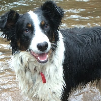 Profile Picture of Cora Roche (@Dawberfermoy) on Twitter