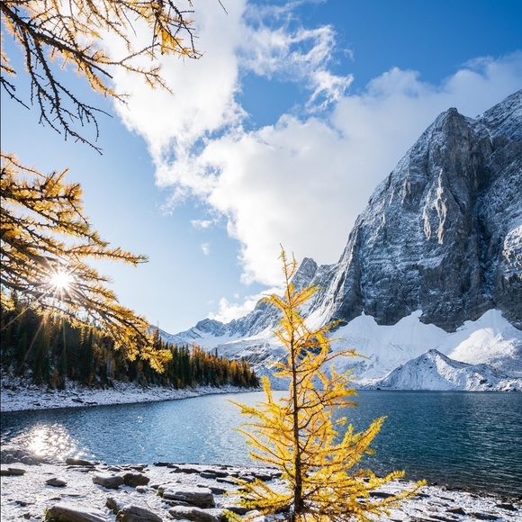 Profile Picture of Holly Melohn (@hmelohn123) on Poshmark