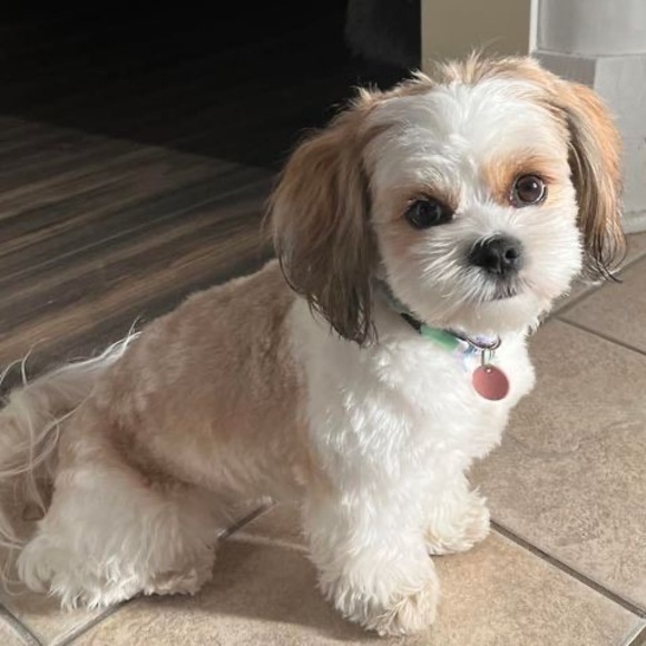 Profile Picture of Yuna Chung (@wildbabbit) on Poshmark