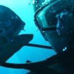 Thomas Dayley - Instagram Profile Picture of Thomas Dayley (@tgdayley) on Instagram