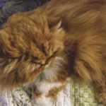 jean m kovacovich - Instagram Profile Picture of jean m kovacovich (@jesusdaughter71) on Instagram