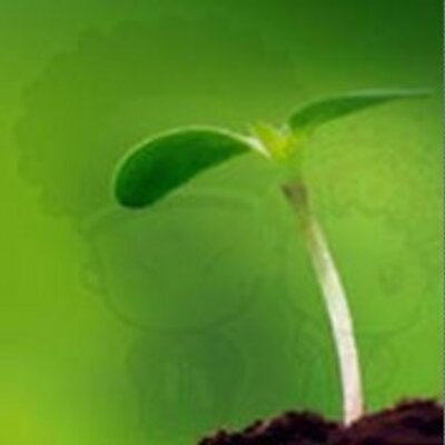 Profile Picture of Timothy Zhao (@timothyzhao) on Twitter